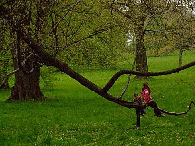 Tree&Children