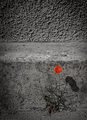 alone