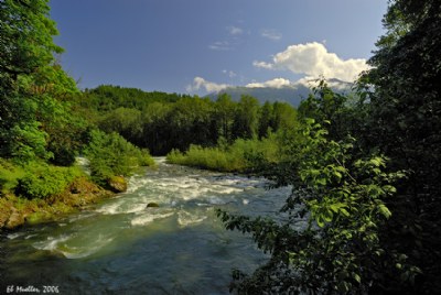 Tamahi Creek 4
