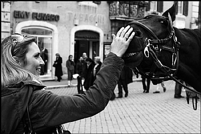 Carezze Equine