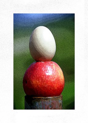 untitled egg