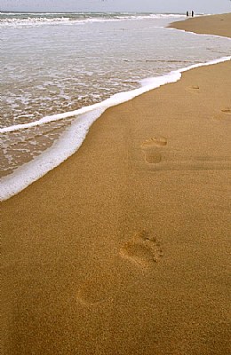Imprints in sand
