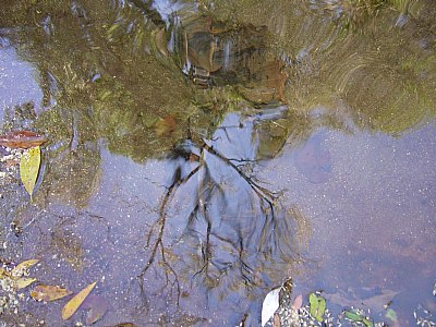 Lago Aiuruoca