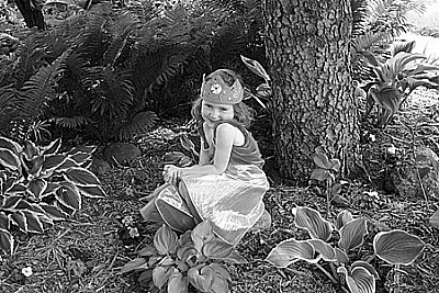 Fairy Garden