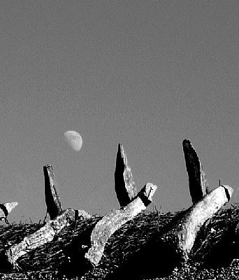 Watch out for the spikes, moon!