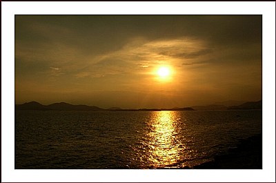 full sunset for Petal!!!!!