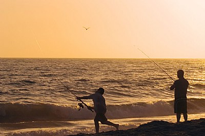 Malibu Fishing