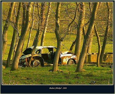 Old Car