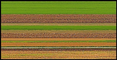 linee agricole 4