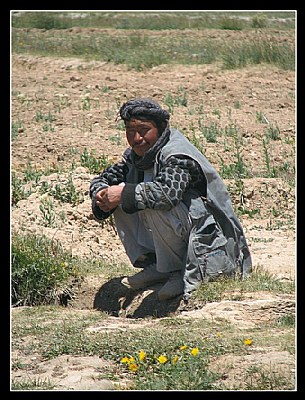 Hazara Man