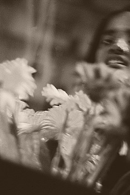 flower girl haze