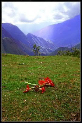 Vietnamese Landscape