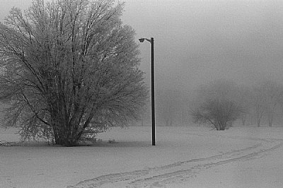 The Road Less Traveled