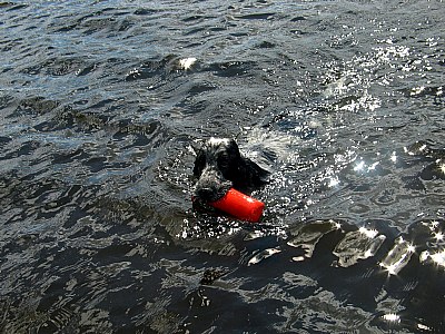 Otto's water sports :)