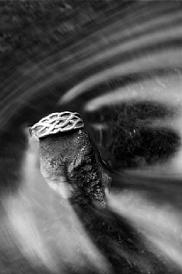 celtic ring