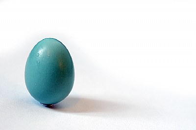 Robin's Egg iii