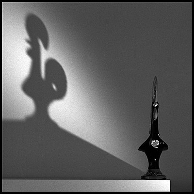 shadow of a cock...