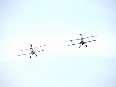 Wing Walkers