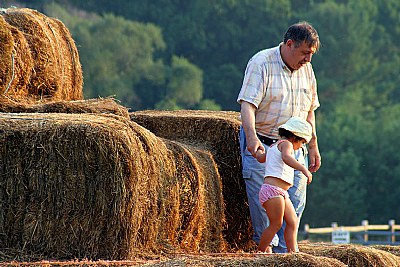 Playing on the hay with grandpa