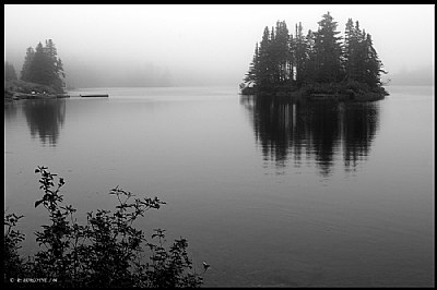 The Lake