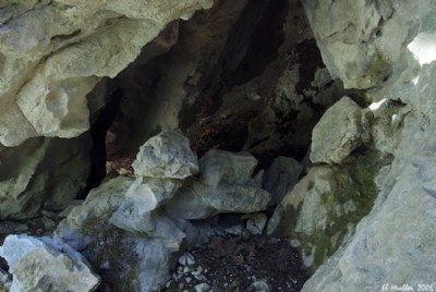 Chipmunk Caves