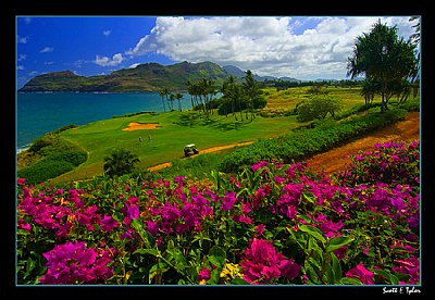 Hawaii Golf