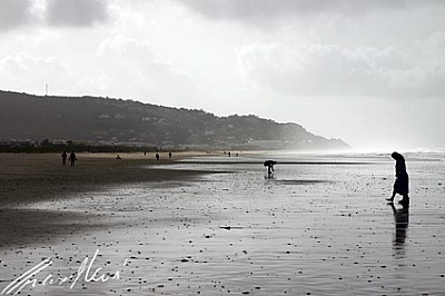 Playa