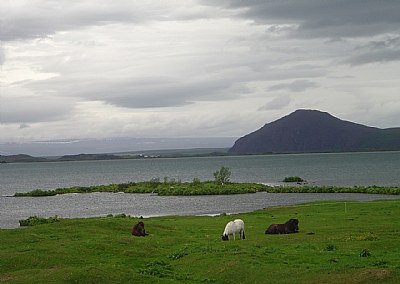 Myvatn Lake 