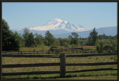 Mt. Baker