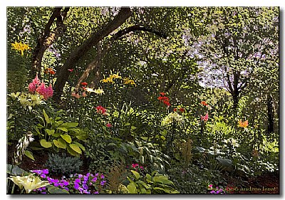 Danielle's Garden