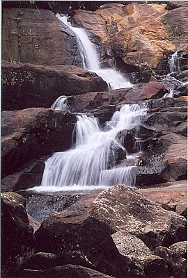 Bridal veil