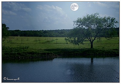moon light over the pond