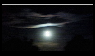 moonlight 