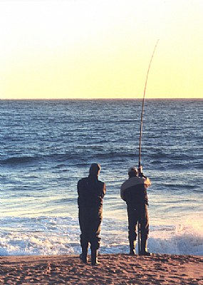 Pescando en la playa