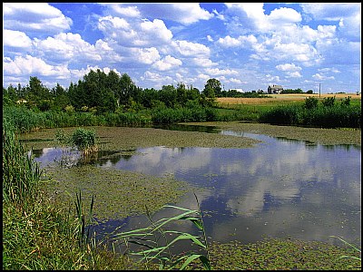 Oleksiewicz Lake