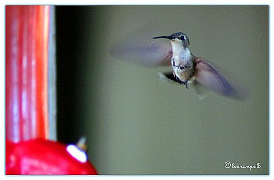 Hovering