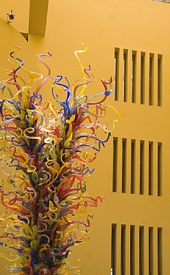 Chihuli