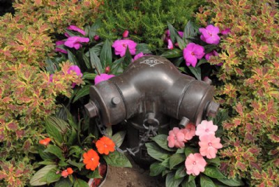 Flowery Hydrant