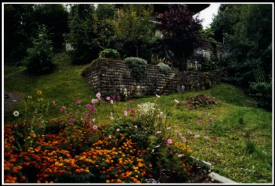 The garden and the old wall