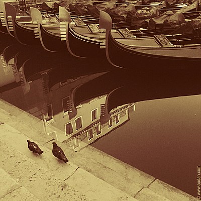 Two pigeons & Gondolas