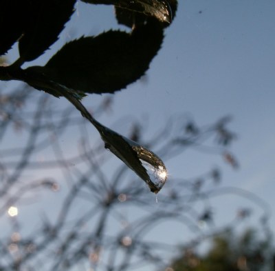 rain drop