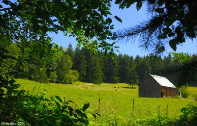 Barn Vignette 2