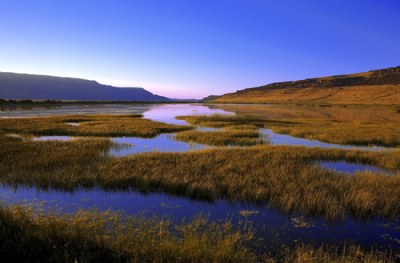 High Desert Reflections