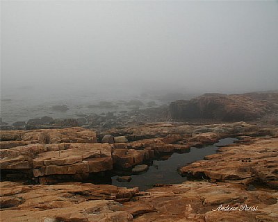 Fogging Morning at the Seaside