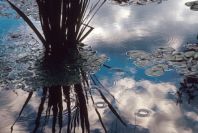 Clouds Afloat