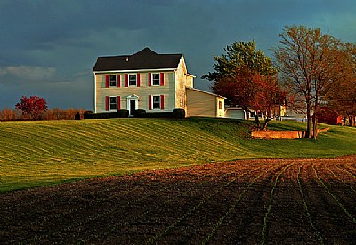 Yellow Farm House