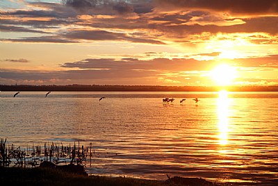 Golden Landing