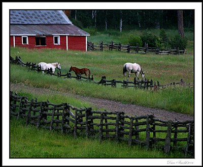 Boot Jack Ranch 2