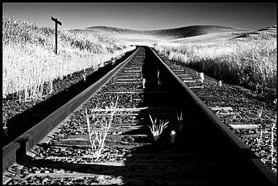 Destiny - IR