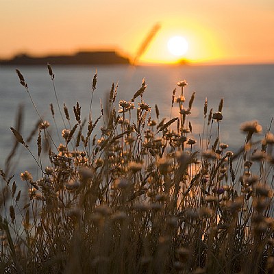 Sunset at Fort le Marchant